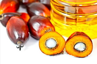 亚洲棕榈油现货价格下降：马来西亚棕榈油产量增长10.57%